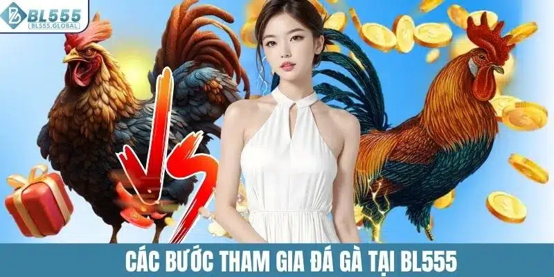 Đá Gà BL555 – Sân Chơi Cá Cược Online Đỉnh Cao Hiện Nay 5 Các bước tham gia đá gà tại BL555