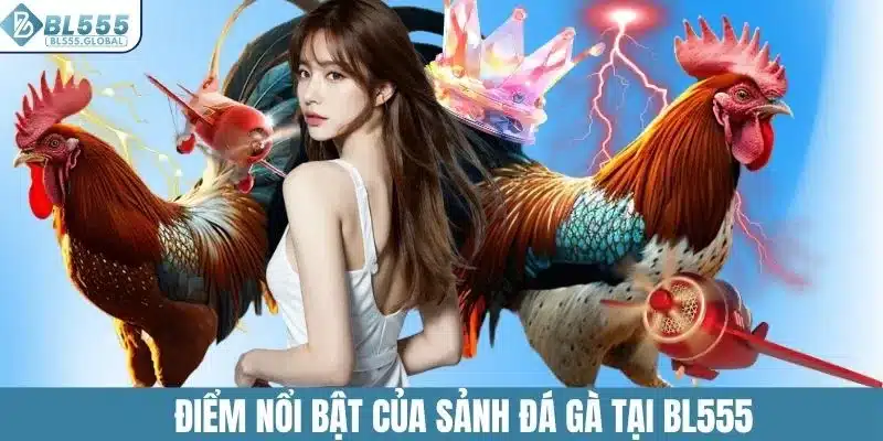 Đá Gà BL555 – Sân Chơi Cá Cược Online Đỉnh Cao Hiện Nay 3 Điểm nổi bật của sảnh đá gà tại BL555