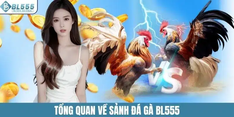 Đá Gà BL555 – Sân Chơi Cá Cược Online Đỉnh Cao Hiện Nay 2 Tổng quan về sảnh đá gà BL555